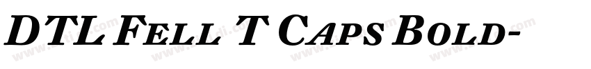 DTL Fell T Caps Bold字体转换